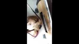 Dos hermosas mujeres morenas de la estación teniendo videos gratisxxx sexo lésbico