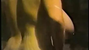 Lesbianas mimar su xxx zorras coño mojado juguetes sexuales