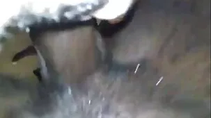 Dulce chica chupando quiero ver porno gratis apasionadamente la polla de un amigo
